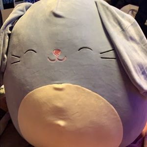 Sebastian Squishmallow!!